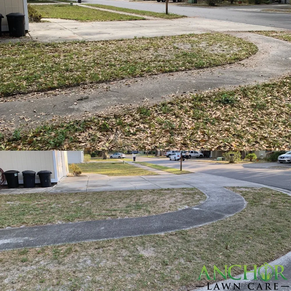 Local garden landscaping in New Port Richey, FL by Anchor Lawn Care