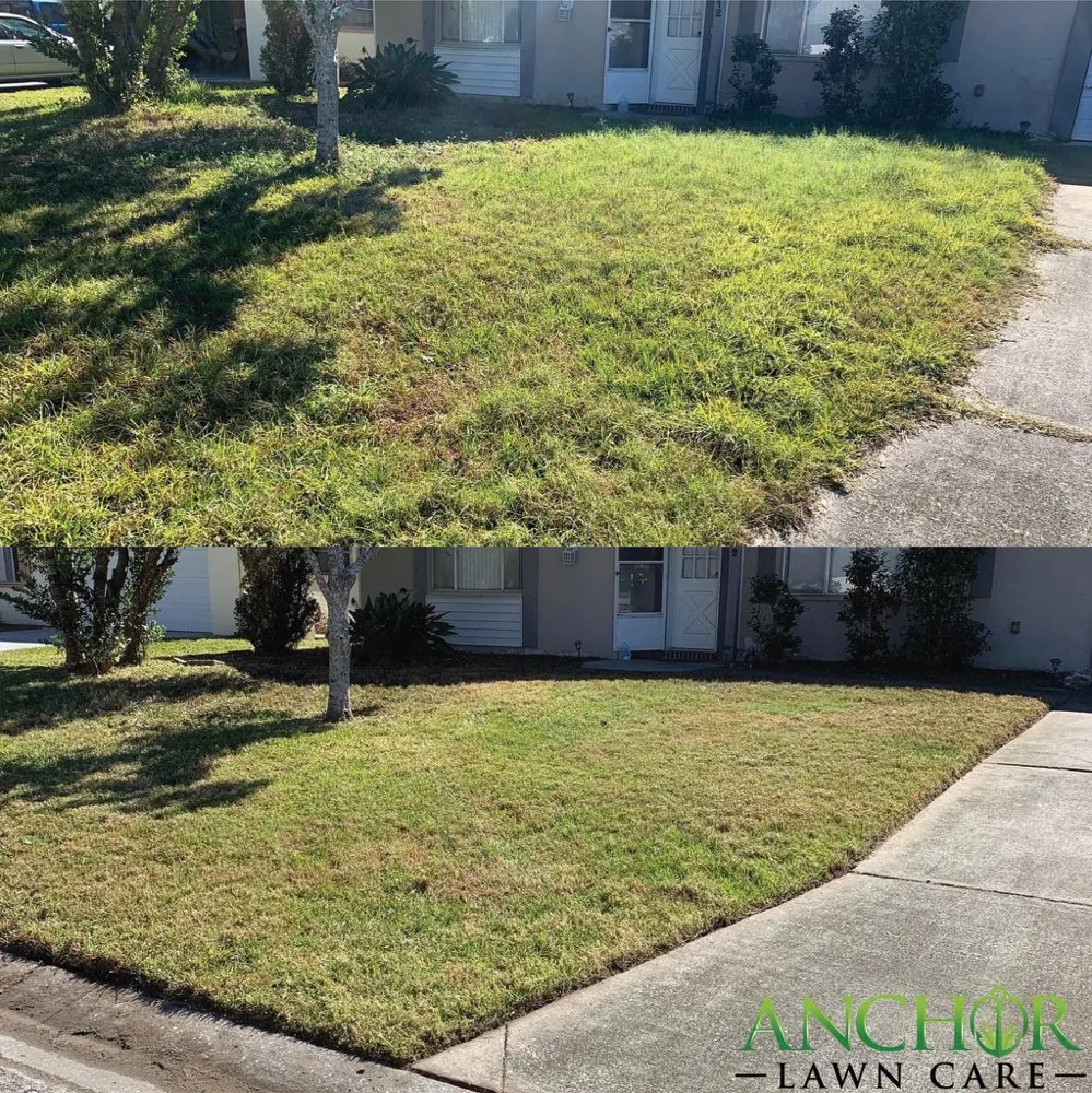 Trusted residential landscaping for residential properties in New Port Richey, FL by Anchor Lawn Care