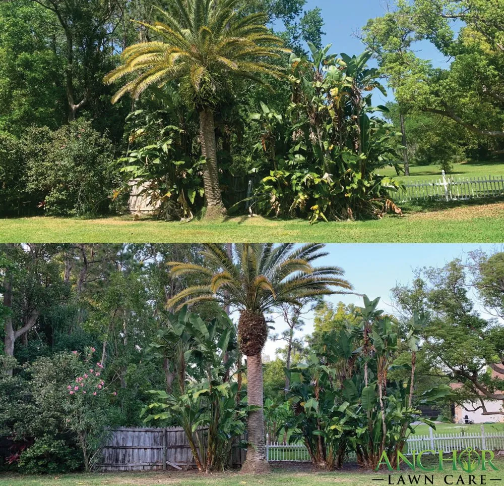 Reliable landscape design for outdoor upgrades in New Port Richey, FL by Anchor Lawn Care