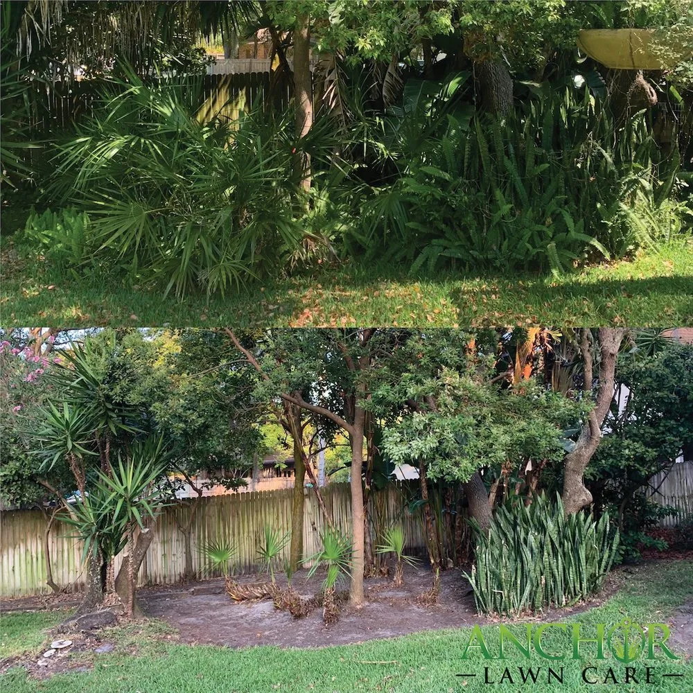 Reliable lawn care service in New Port Richey, FL - Anchor Lawn Care