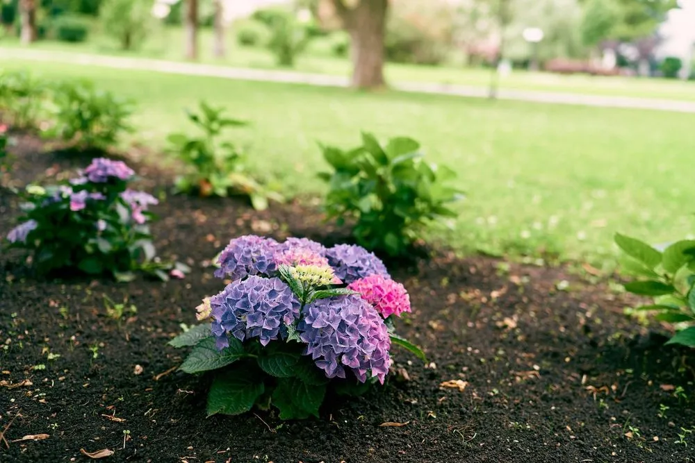 Expert lawn care service in Glastonbury, CT by Anchor-One Fence & Landscape