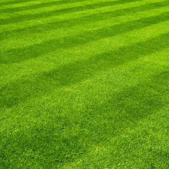 Reliable lawn care service experts serving Loxley, AL - Anchor Side Landscaping
