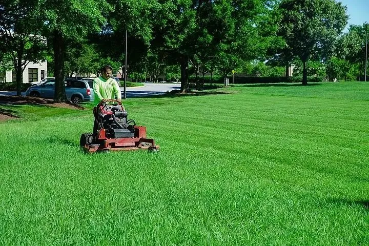 Affordable yard cleanup service in Morehead City, NC - Anchor Turf & Landscape