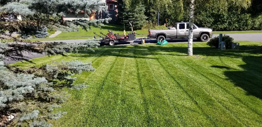Expert yard cleanup service in Anchorage, AK by Anchorage Blade Runners