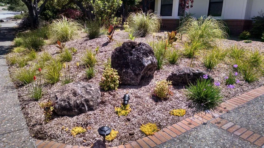 Affordable lawn mowing service in Santa Rosa, CA by Anchordoguy Landscaping