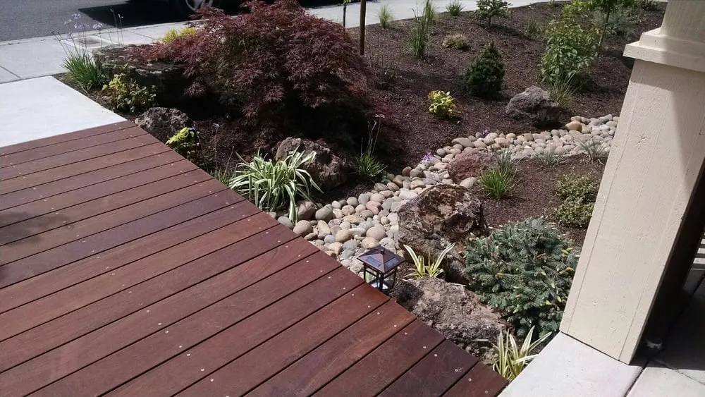 Professional yard maintenance in Santa Rosa, CA by Anchordoguy Landscaping