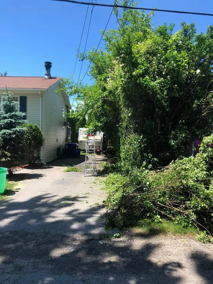 Top-rated residential landscaping experts serving East Providence, RI - Anchored Property Maintenance