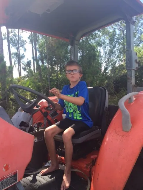 Top-rated lawn mowing service for beautiful yards in Fellsmere, FL by Anchors Tree Service and Stump Removal