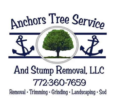 Anchors Tree Service and Stump Removal