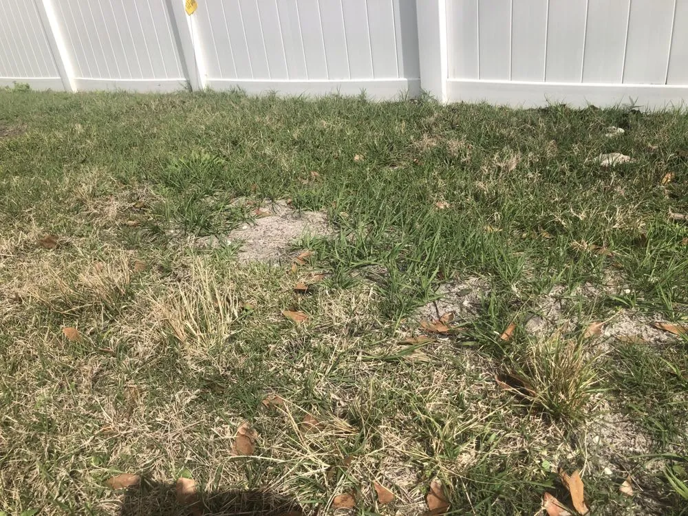Custom yard maintenance for year-round maintenance in St Augustine, FL by Ancient City Landscaping
