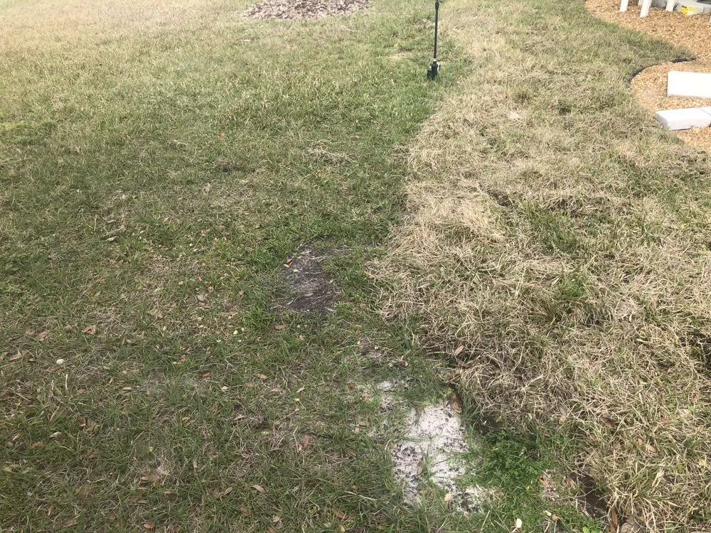 Professional yard cleanup service experts serving St Augustine, FL - Ancient City Landscaping