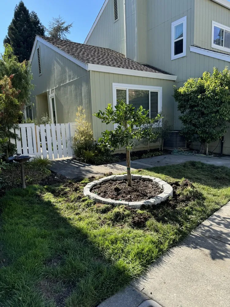 Top-rated landscaping services experts serving Santa Rosa, CA - Ancient Gardens