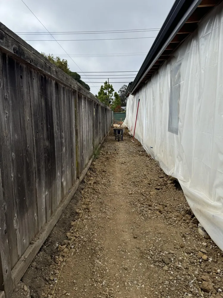 Expert lawn care service in Santa Rosa, CA by Ancient Gardens