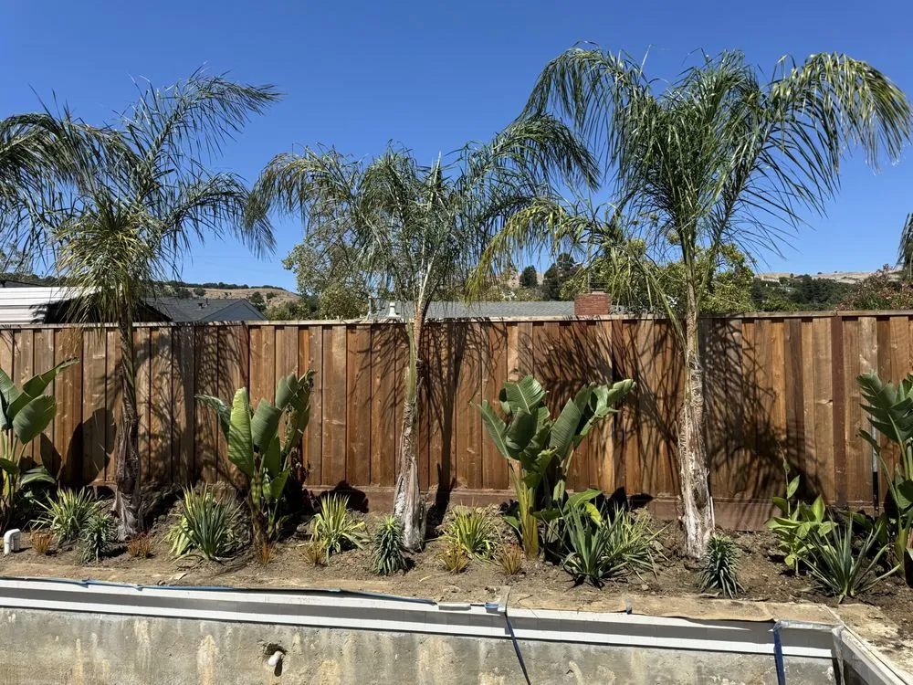 Trusted residential landscaping in Santa Rosa, CA by Ancient Gardens