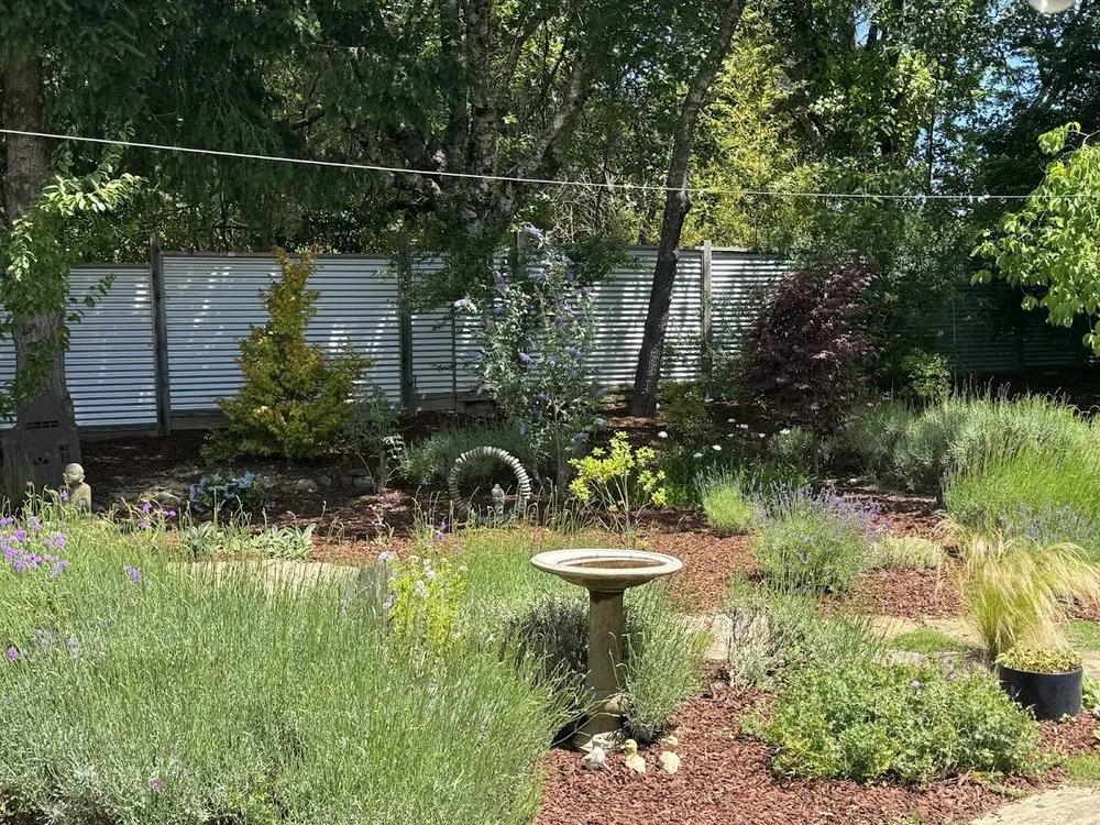 Reliable lawn care service experts serving Santa Rosa, CA - Ancient Gardens