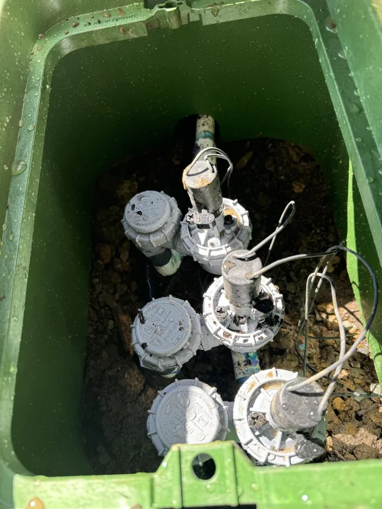 Reliable landscaping services in Santa Rosa, CA - Ancient Gardens