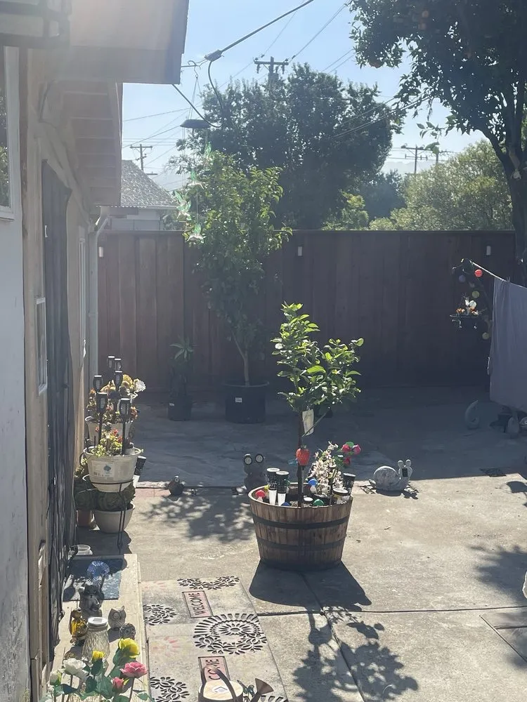 Local landscape design in Santa Rosa, CA by Ancient Gardens