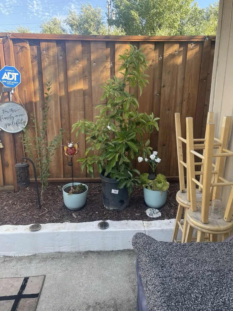 Affordable lawn care service in Santa Rosa, CA - Ancient Gardens