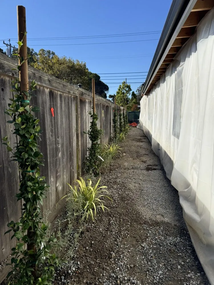 Reliable landscape installation for residential properties in Santa Rosa, CA by Ancient Gardens