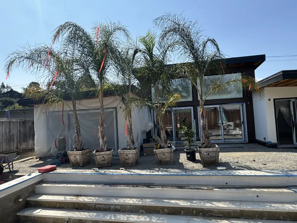 Local landscaping services in Santa Rosa, CA - Ancient Gardens