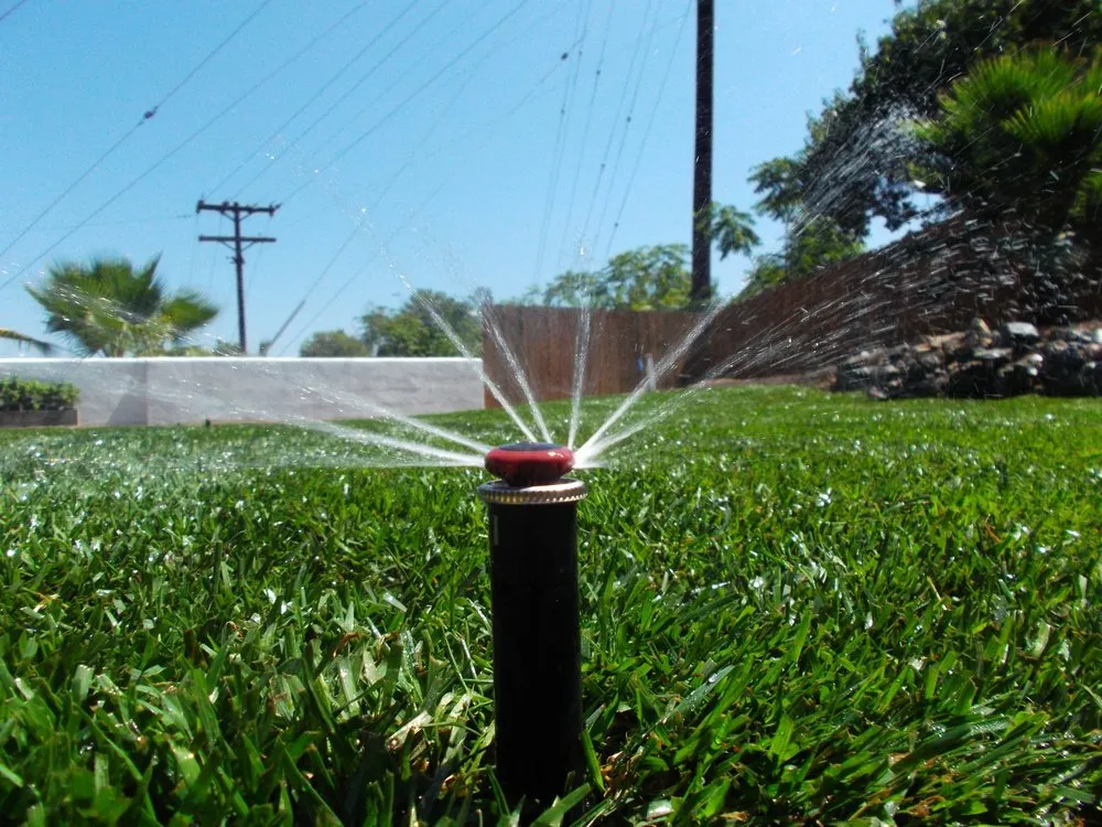 Top-rated garden landscaping for beautiful yards across San Diego, CA - Ancira Landscaping