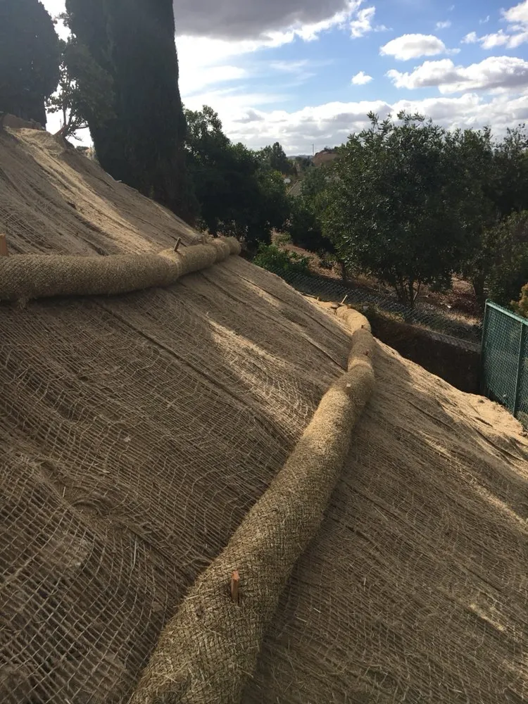 Trusted yard cleanup service for outdoor upgrades across San Diego, CA - Ancira Landscaping