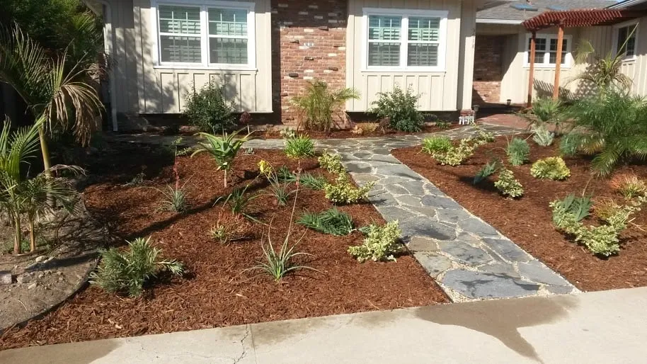 Top-rated landscaping services experts serving San Diego, CA - Ancira Landscaping