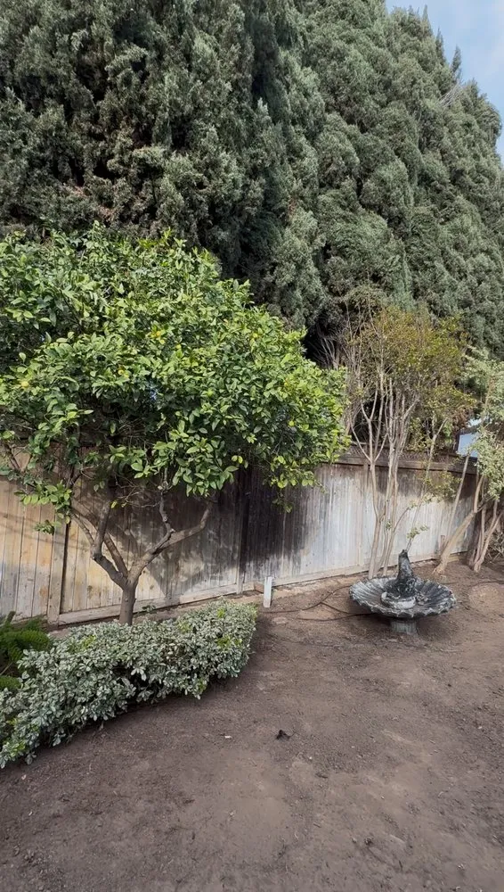 Expert outdoor landscaping in Tustin, CA by Ancira Landscaping