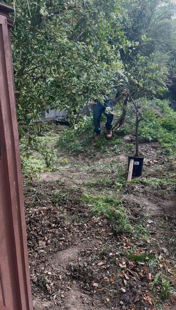 Trusted landscape installation for year-round maintenance in Tustin, CA by Ancira Landscaping