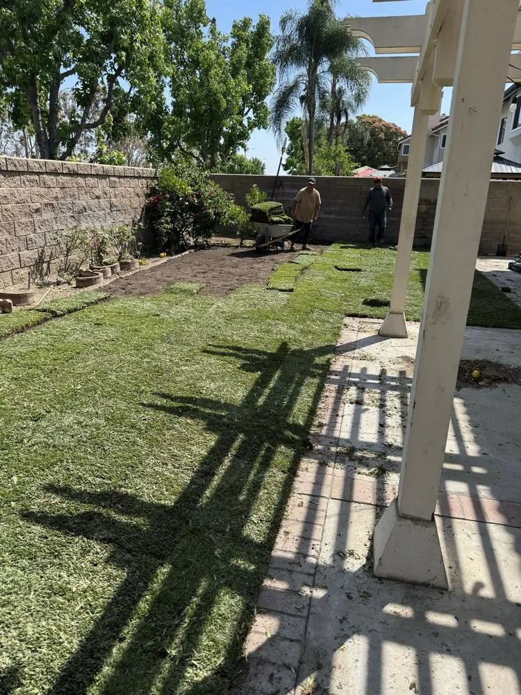 Top-rated yard cleanup service for outdoor upgrades in Tustin, CA by Ancira Landscaping
