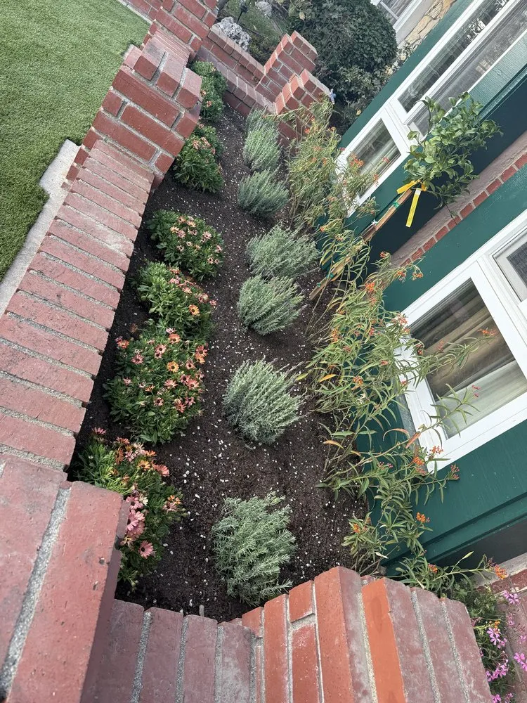 Affordable yard cleanup service in Tustin, CA by Ancira Landscaping