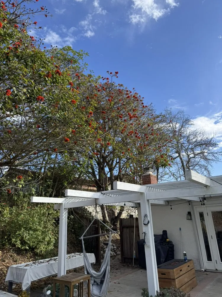 Affordable landscape installation for year-round maintenance in Tustin, CA by Ancira Landscaping