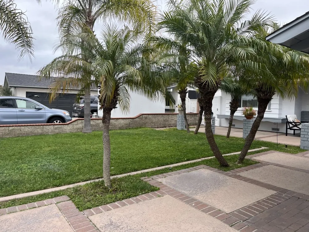 Top-rated lawn care service in Tustin, CA by Ancira Landscaping