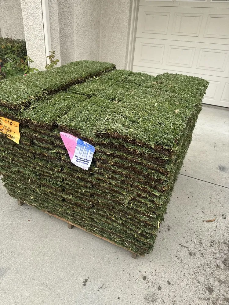 Professional garden landscaping for outdoor upgrades in Tustin, CA by Ancira Landscaping