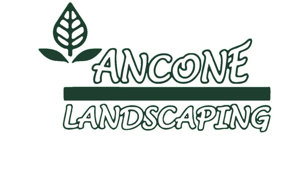Affordable residential landscaping in Brookhaven, PA by Ancone Landscaping