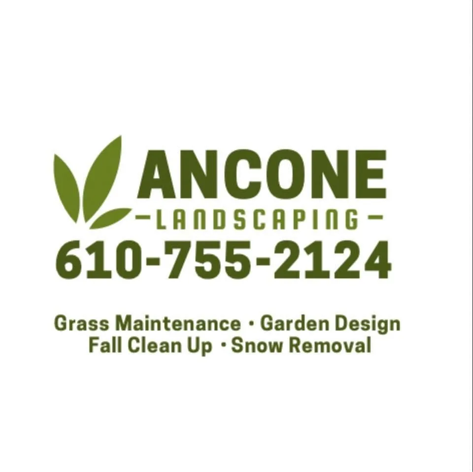 Reliable lawn mowing service experts serving Brookhaven, PA - Ancone Landscaping
