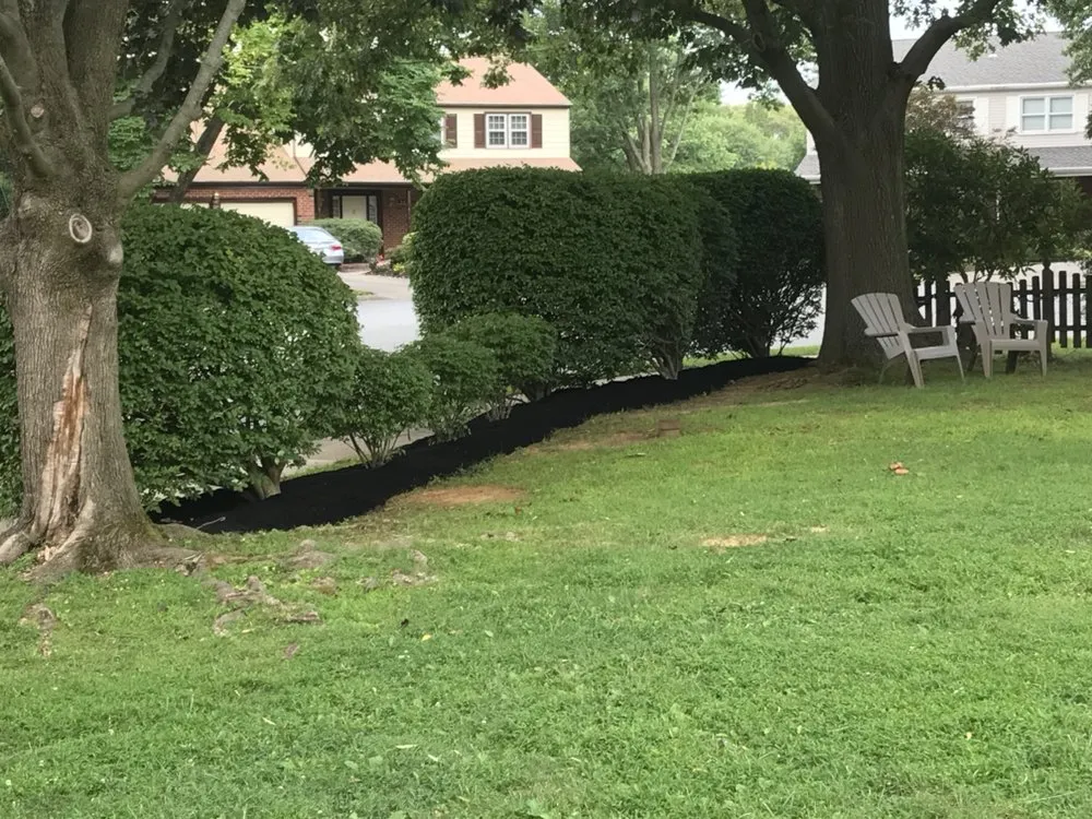 Professional yard cleanup service in Brookhaven, PA by Ancone Landscaping