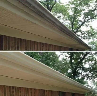 Trusted yard maintenance experts serving Birmingham, AL - Andan Home & Business