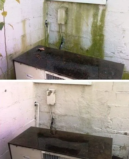 Top-rated yard cleanup service in Birmingham, AL - Andan Home & Business