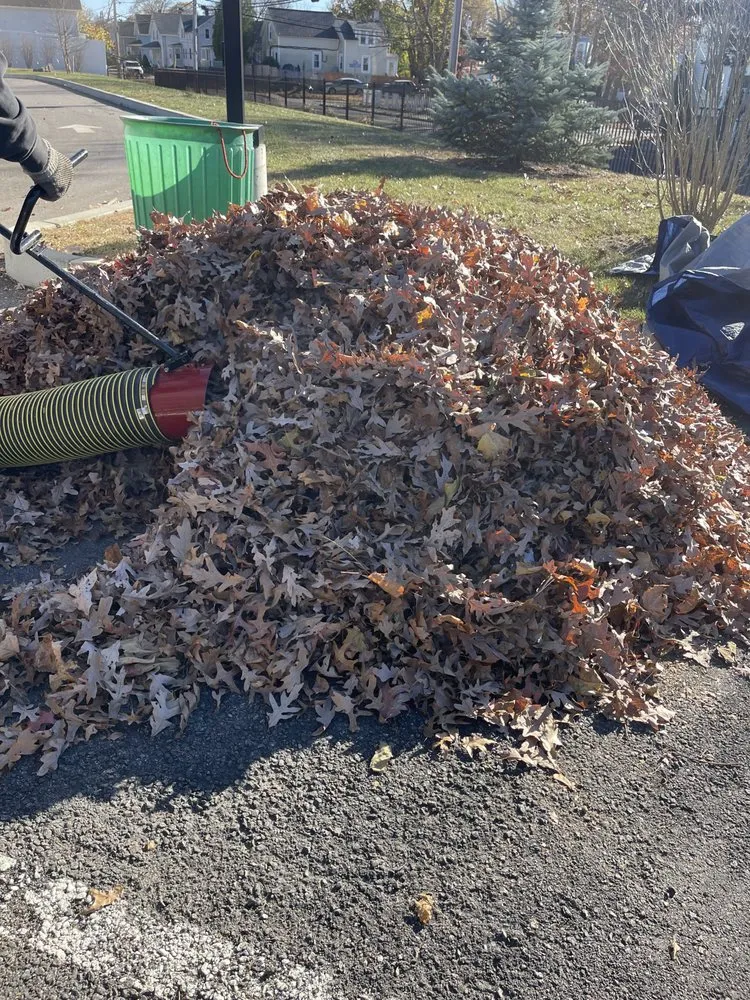 Top-rated landscaping services experts serving East providence, RI - Andarios Property Management