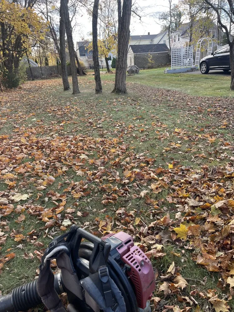 Trusted landscape design in East providence, RI - Andarios Property Management