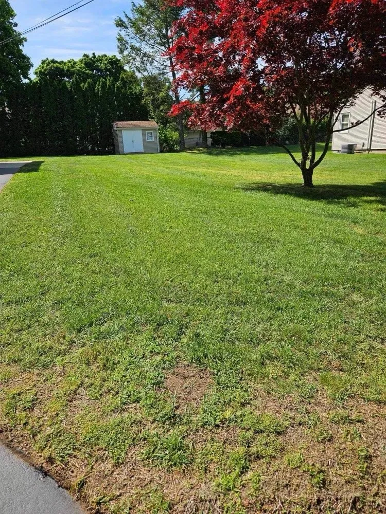 Trusted landscape installation experts serving East providence, RI - Andarios Property Management