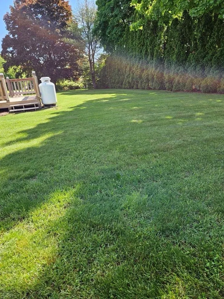 Local garden landscaping in East providence, RI by Andarios Property Management