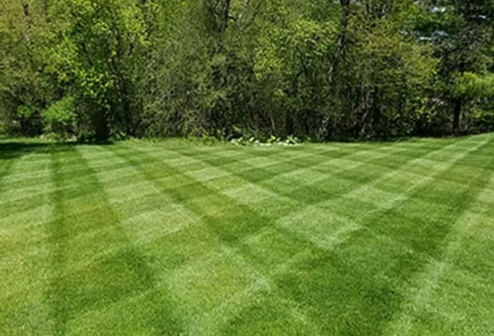 Top-rated yard cleanup service experts serving Springfield, IL - Anders Lawn Services