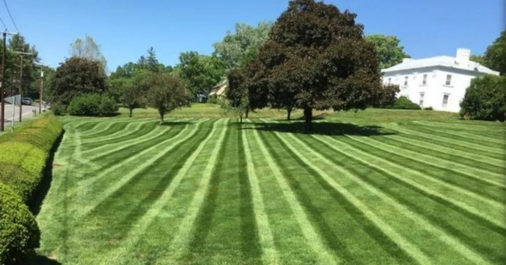 Expert yard maintenance with custom design in Springfield, IL by Anders Lawn Services