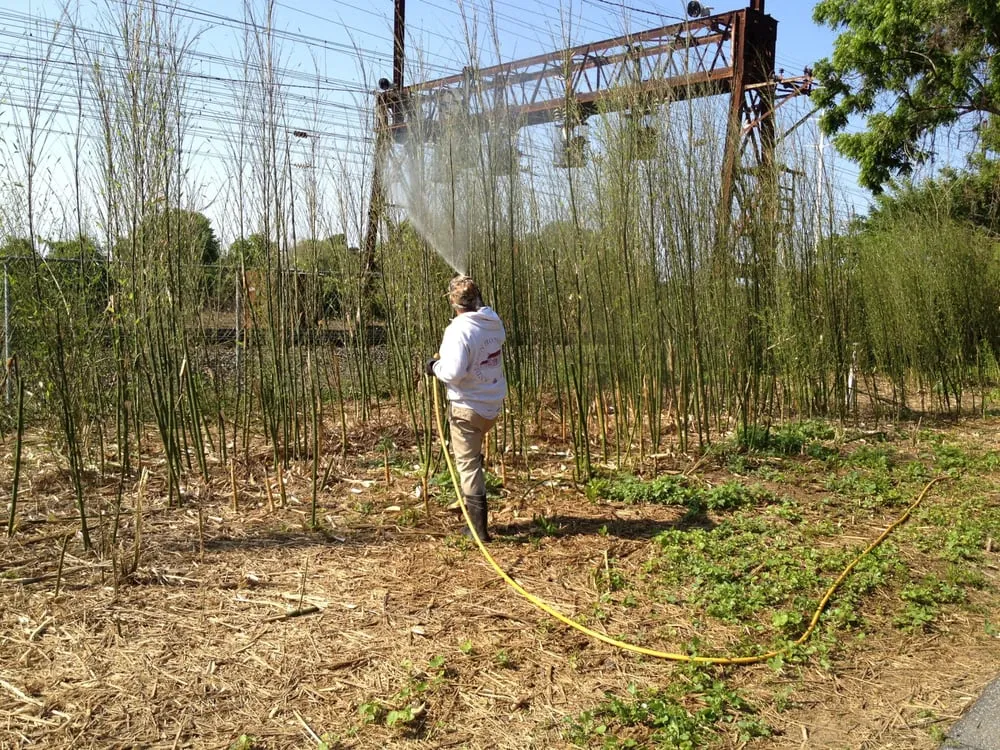 Custom lawn mowing service experts serving Elkton, MD - Andersen Home Services