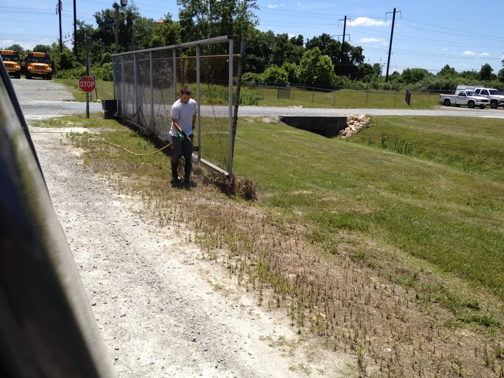 Reliable yard cleanup service experts serving Elkton, MD - Andersen Home Services