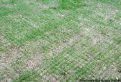 Professional garden landscaping in Elkton, MD by Andersen Home Services