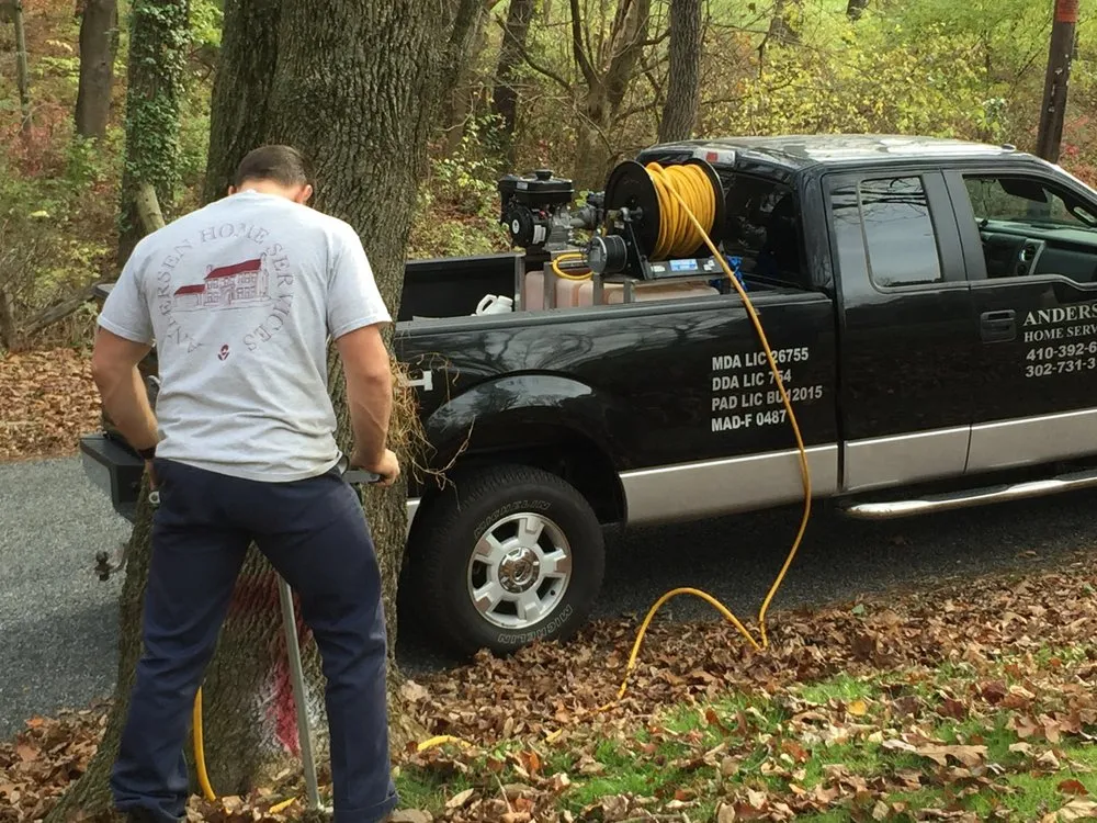Local landscape installation for year-round maintenance across Elkton, MD - Andersen Home Services