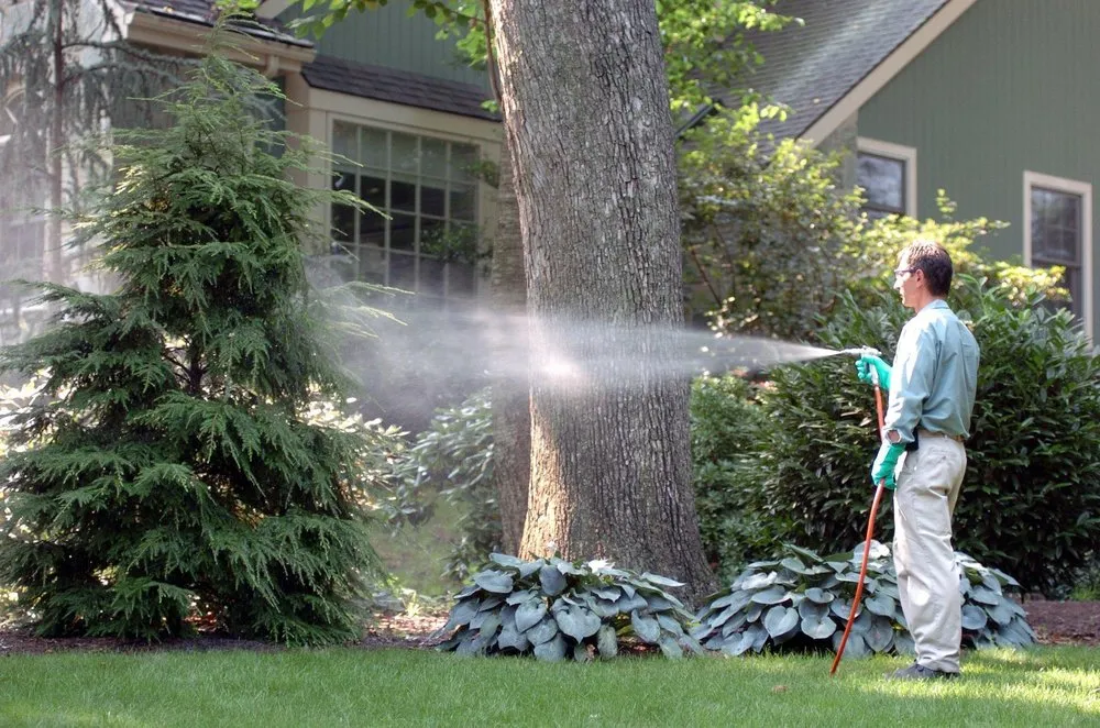 Reliable lawn care service experts serving Elkton, MD - Andersen Home Services